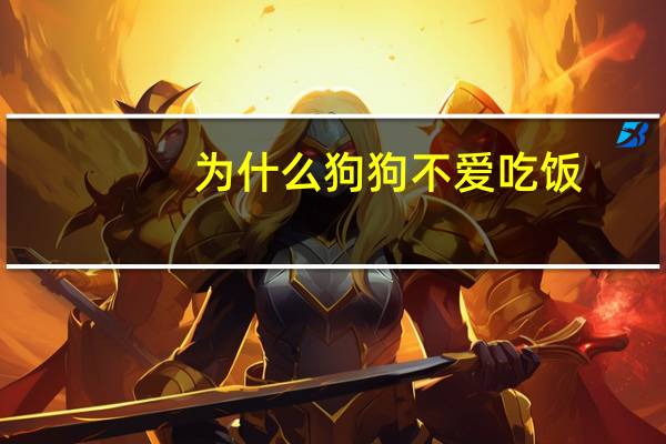 为什么狗狗不爱吃饭