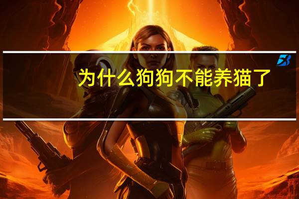 为什么狗狗不能养猫了