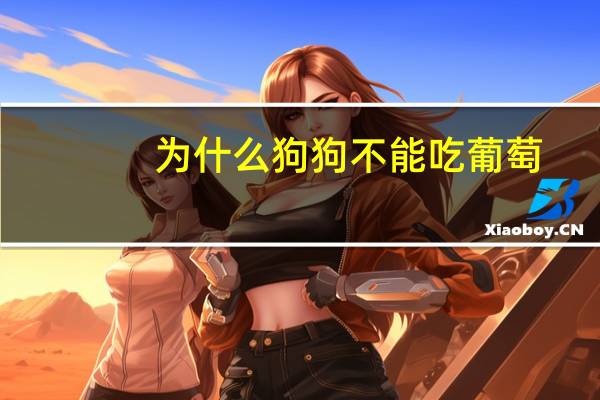 为什么狗狗不能吃葡萄
