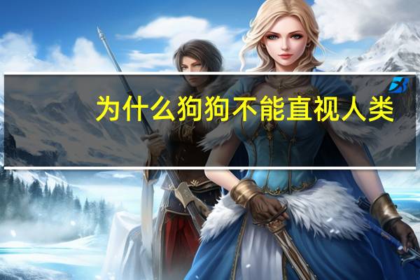 为什么狗狗不能直视人类