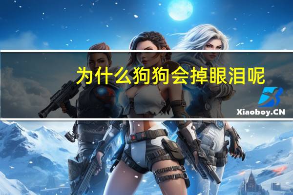 为什么狗狗会掉眼泪呢