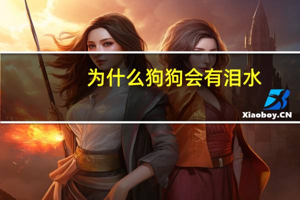 为什么狗狗会有泪水