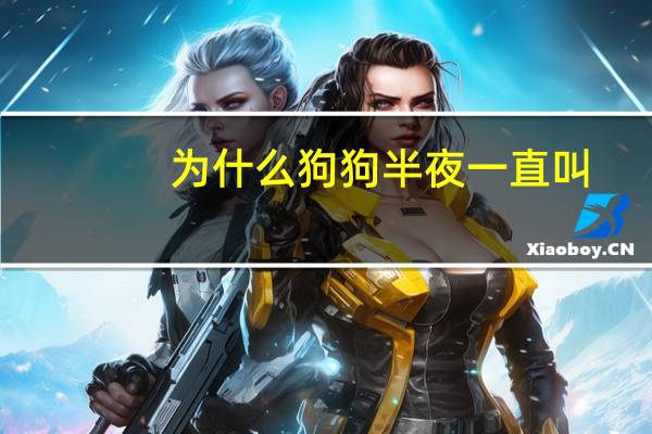 为什么狗狗半夜一直叫