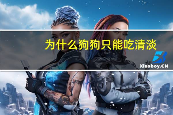 为什么狗狗只能吃清淡