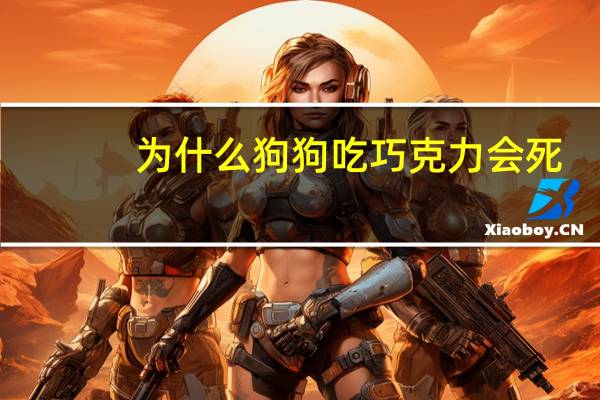 为什么狗狗吃巧克力会死