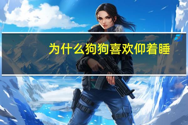为什么狗狗喜欢仰着睡