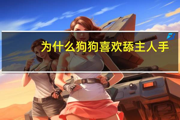 为什么狗狗喜欢舔主人手