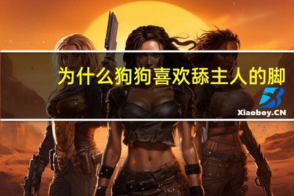 为什么狗狗喜欢舔主人的脚