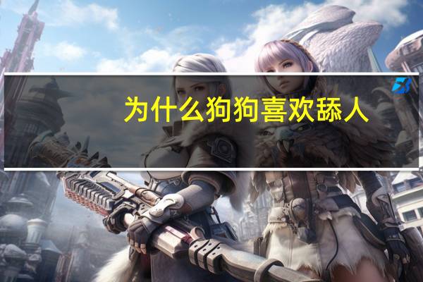 为什么狗狗喜欢舔人