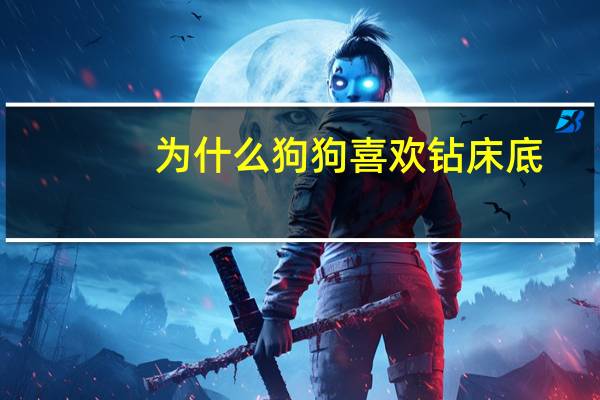 为什么狗狗喜欢钻床底