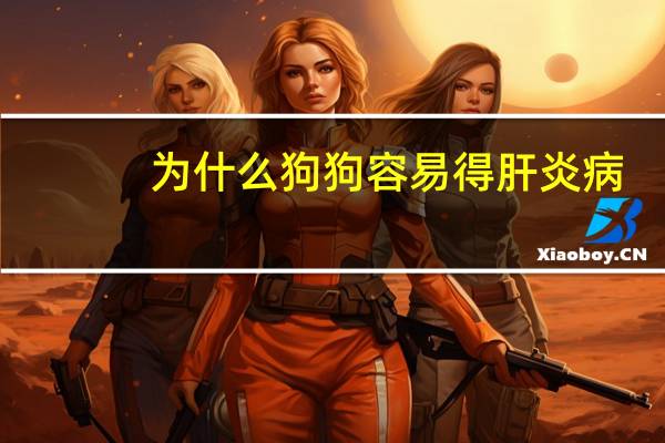 为什么狗狗容易得肝炎病