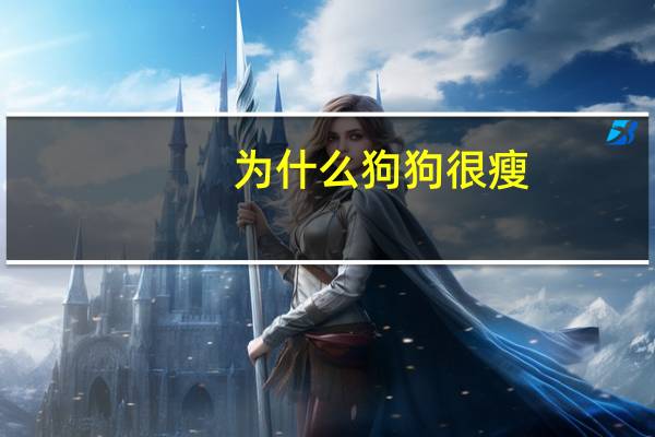 为什么狗狗很瘦