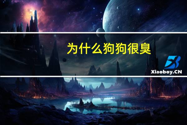 为什么狗狗很臭