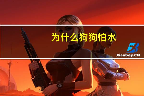 为什么狗狗怕水