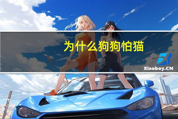 为什么狗狗怕猫