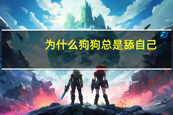 为什么狗狗总是舔自己
