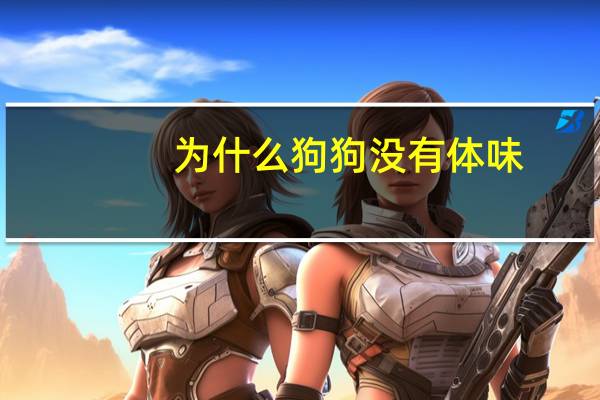 为什么狗狗没有体味