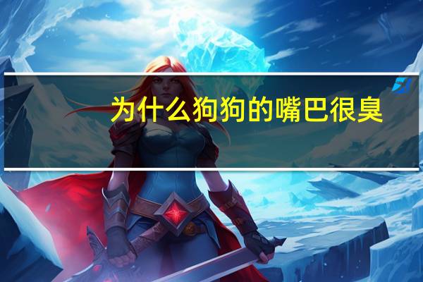 为什么狗狗的嘴巴很臭