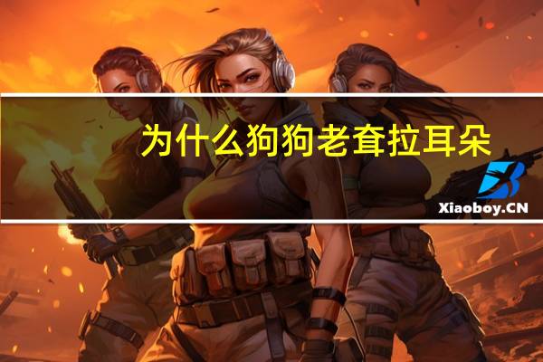 为什么狗狗老耷拉耳朵