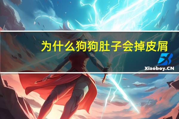 为什么狗狗肚子会掉皮屑