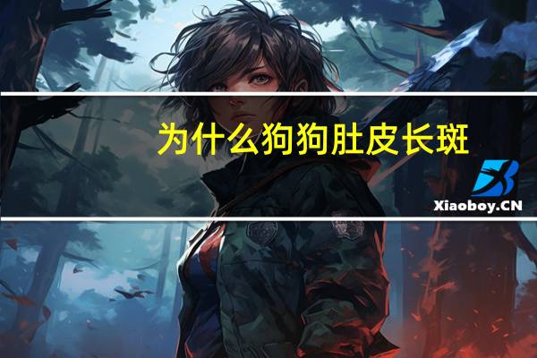 为什么狗狗肚皮长斑