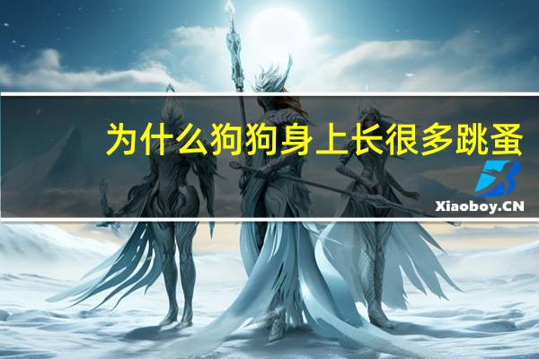 为什么狗狗身上长很多跳蚤