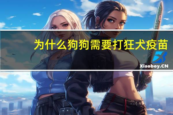 为什么狗狗需要打狂犬疫苗