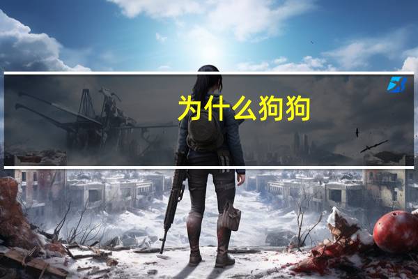 为什么狗狗