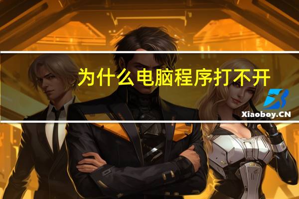 为什么电脑程序打不开