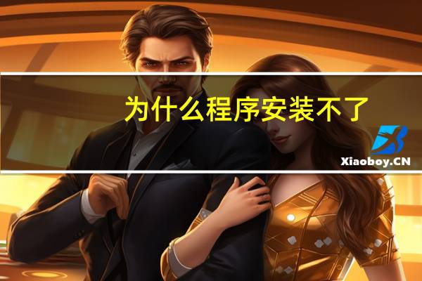 为什么程序安装不了