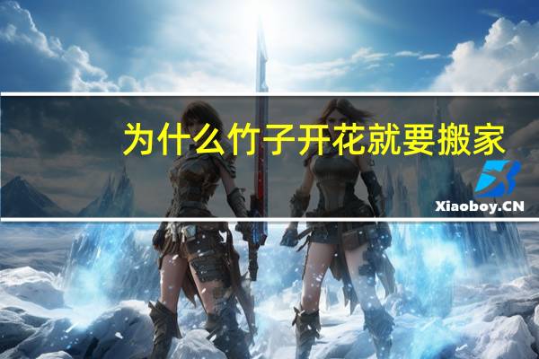 为什么竹子开花就要搬家