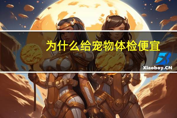 为什么给宠物体检便宜