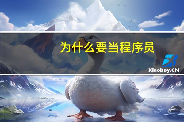 为什么要当程序员