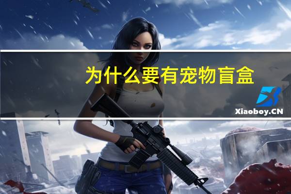 为什么要有宠物盲盒