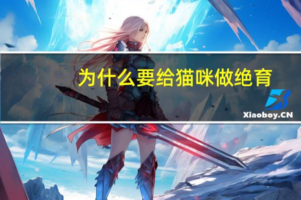 为什么要给猫咪做绝育