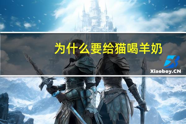 为什么要给猫喝羊奶