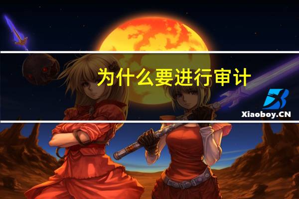 为什么要进行审计