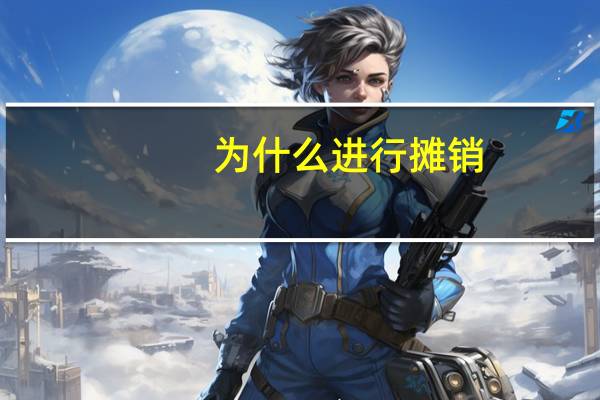 为什么进行摊销