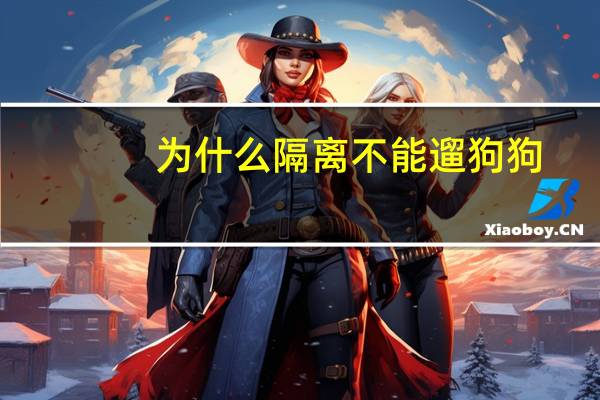 为什么隔离不能遛狗狗