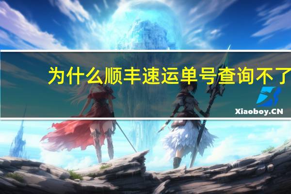 为什么顺丰速运单号查询不了