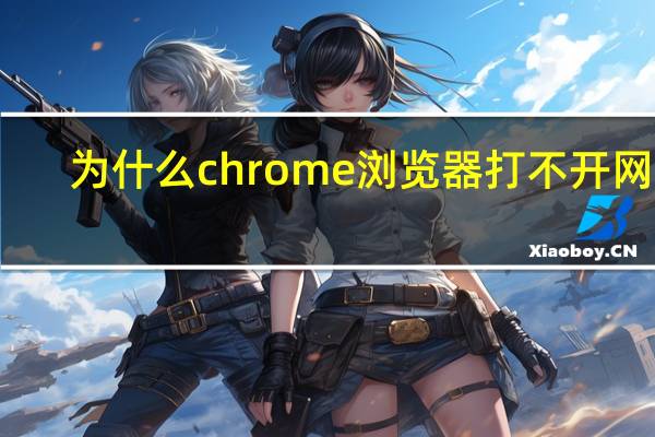 为什么chrome浏览器打不开网页