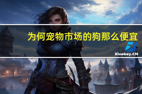 为何宠物市场的狗那么便宜