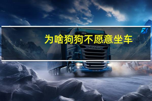 为啥狗狗不愿意坐车