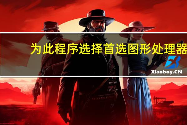 为此程序选择首选图形处理器