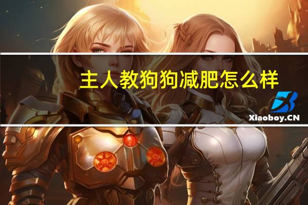 主人教狗狗减肥怎么样