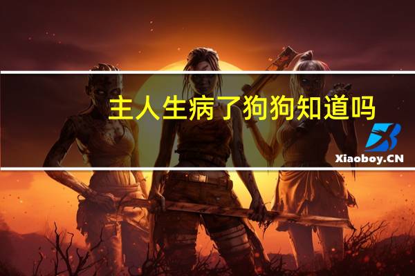 主人生病了狗狗知道吗
