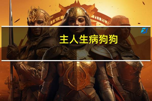 主人生病狗狗