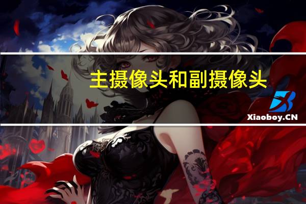 主摄像头和副摄像头