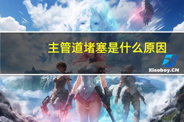 主管道堵塞是什么原因