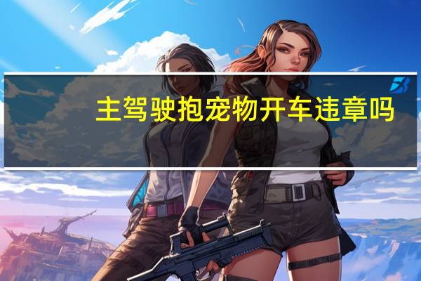 主驾驶抱宠物开车违章吗